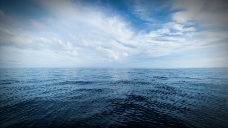 Humanity Can Help Advance Ocean Conservation Funding · Giving Compass