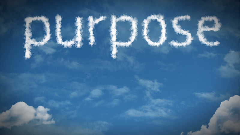 What's Working: Purpose and Profit - Giving Compass