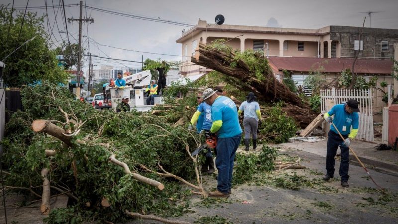 Hurricane Irma, Now What?