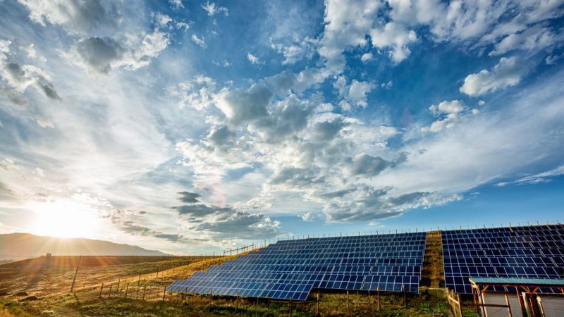 Solar Industry Needs Free Trade, Not Favoritism