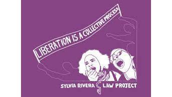 Sylvia Rivera Law Project Inc logo