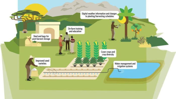 Financing Resilient Agriculture as a Form of Climate Adaptation ...